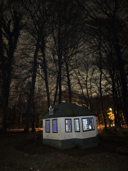 Anden, laksen & deres venner